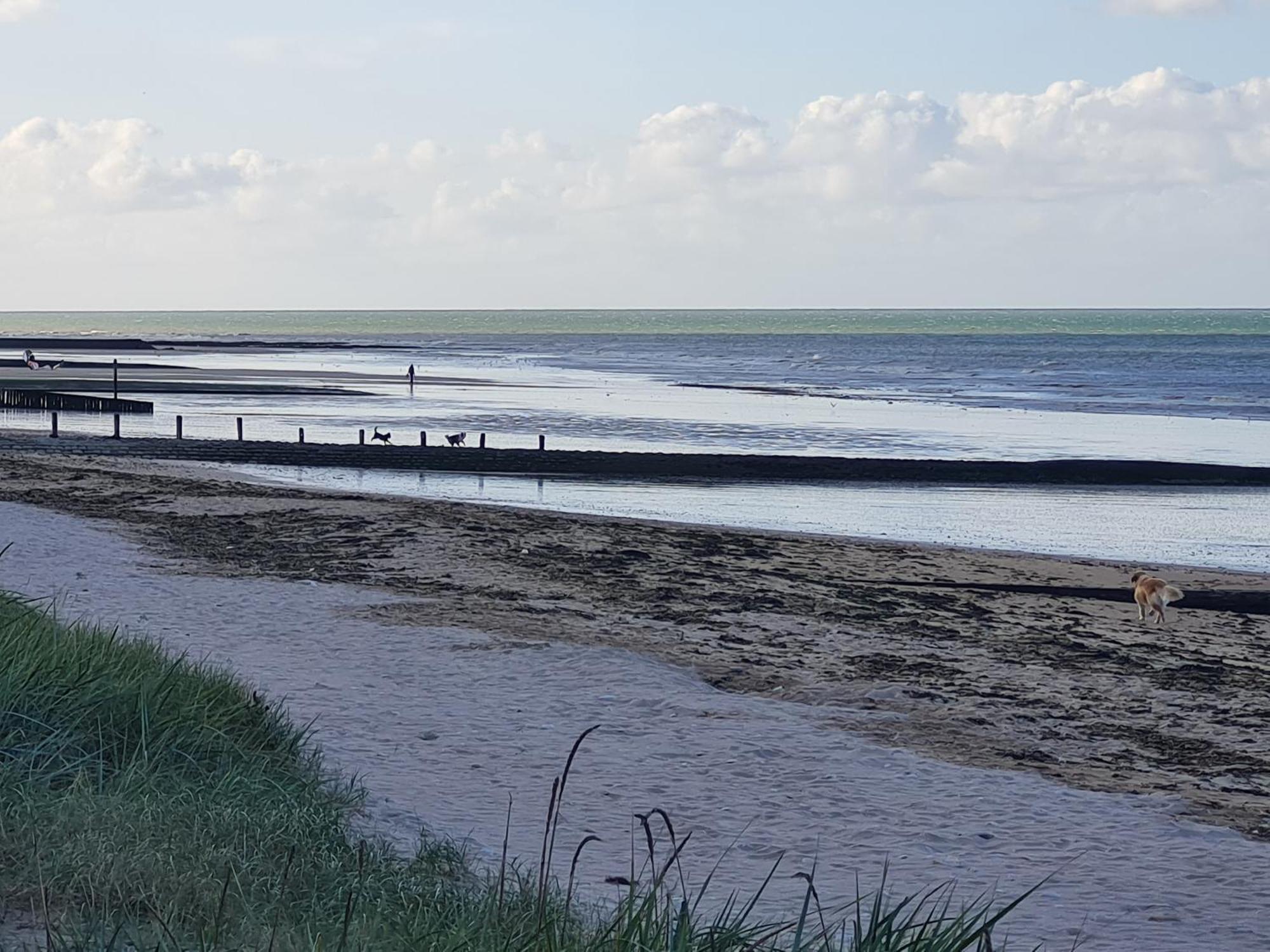 Les Pieds Dans L'Eau - Acces Direct A La Plage Bernieres-sur-Mer Экстерьер фото